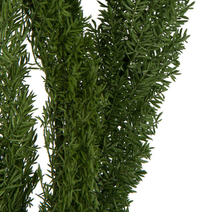 Vickerman 8-10" Green Foxtail Fern 16 Stem Bunch Preserved