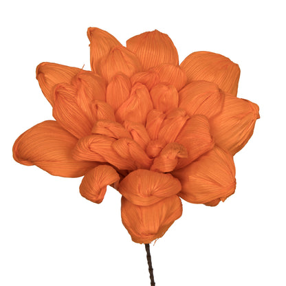 Vickerman Natural Botanicals 6" Orange Maize Dahlia on 18" wire stem- 6 stem/bag. Dried and preserved.