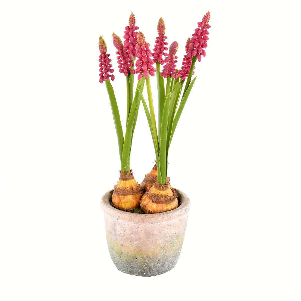 Vickerman 10" Artificial Mauve Hyacinths in Container Pack of 2