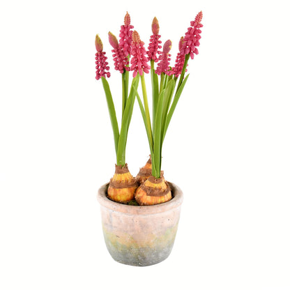 Vickerman 10" Artificial Mauve Hyacinths in Container Pack of 2