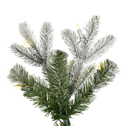 Vickerman 5' x 32" Frosted Wendell Slim Potted Pine Artificial Christmas Tree Warm White LED Lights