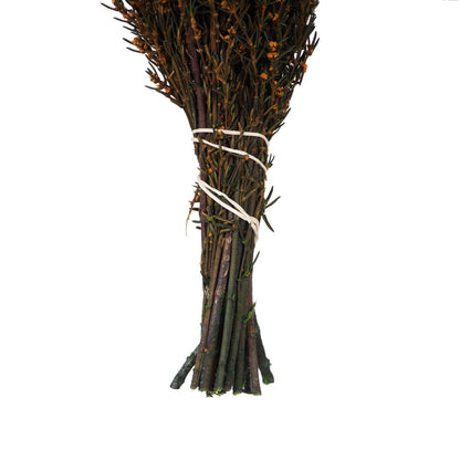 Vickerman 22-26" Autumn Grabia 5-6 oz Bundle Preserved