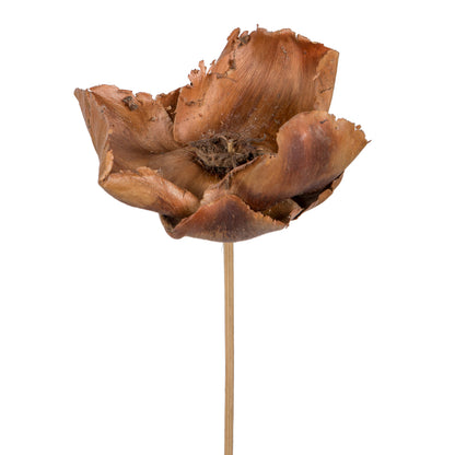 Vickerman Natural Botanicals 2.75" Palm Cap Natural on Stem. Includes 75 pieces per Pack.