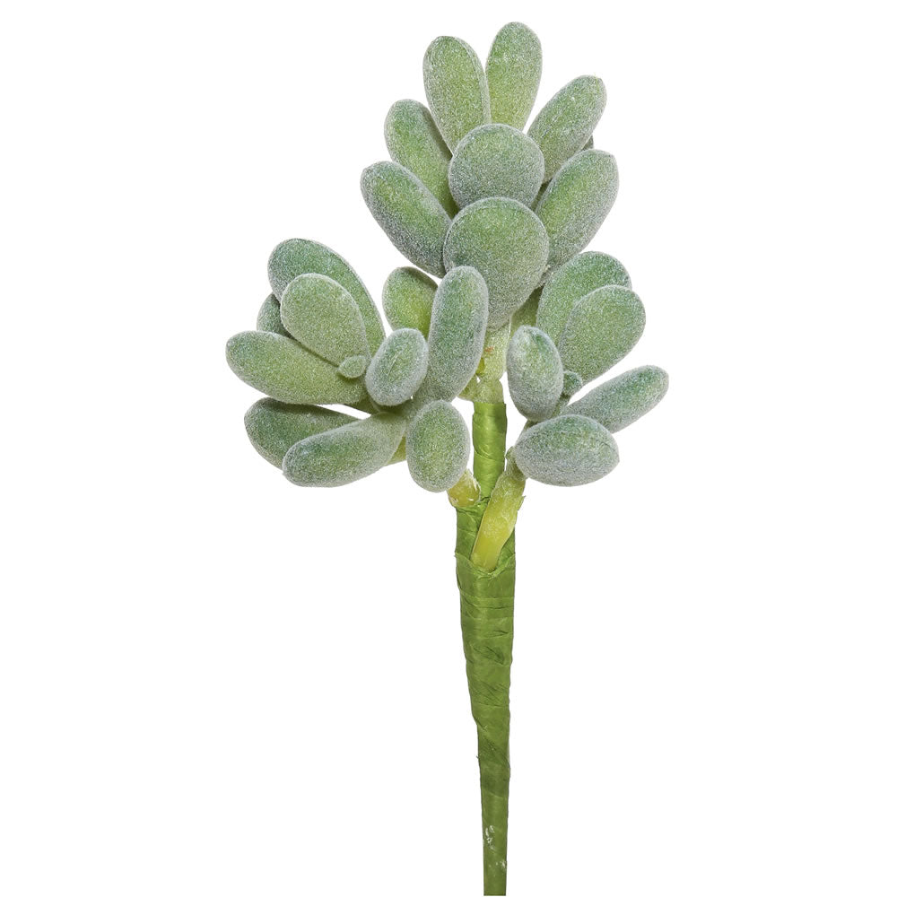 Vickerman 7" Artificial Frosted Crassula Pick Set of 3