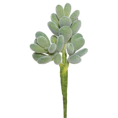 Vickerman 7" Artificial Frosted Crassula Pick Set of 3
