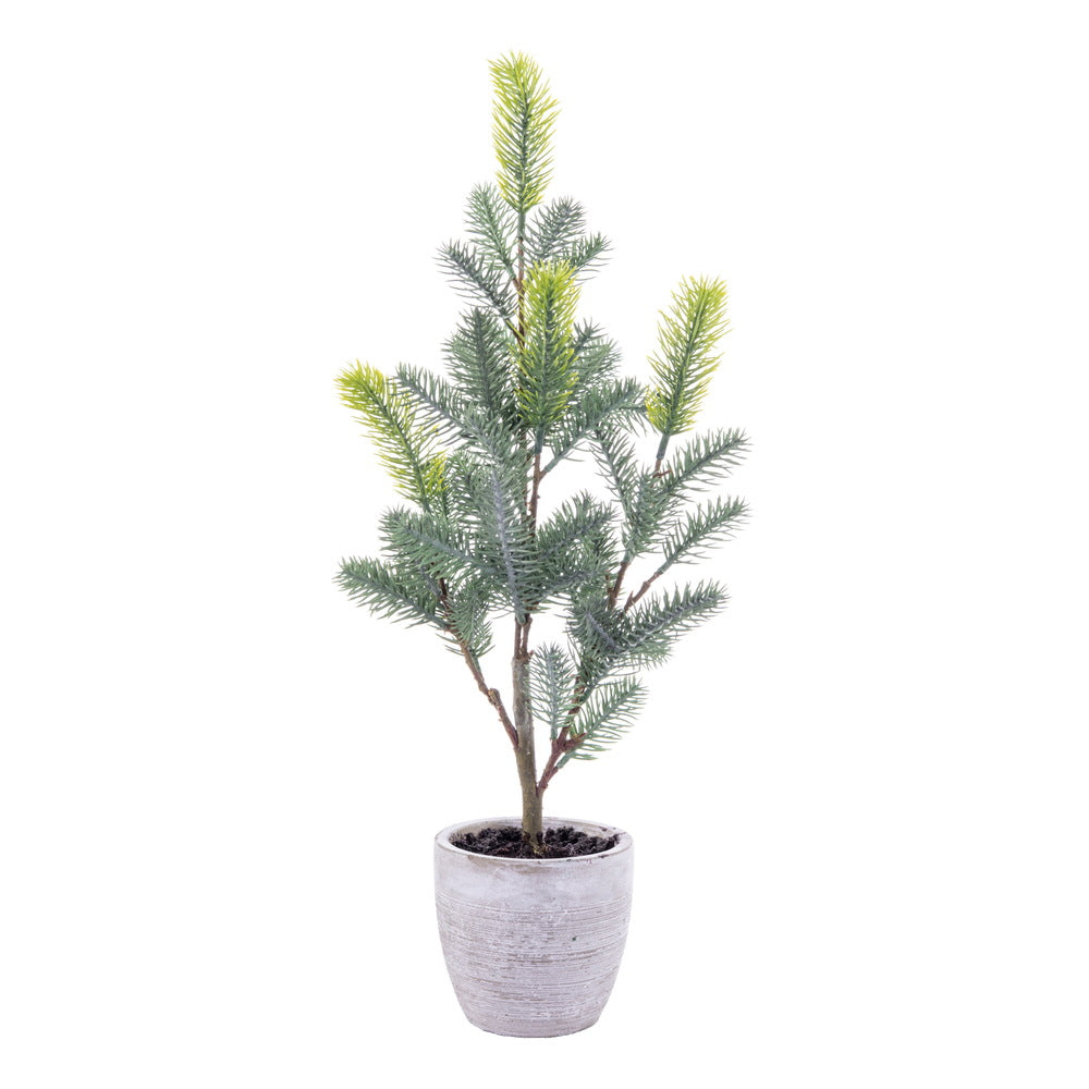 Vickerman 19" Artificial Blue Spruce Sapling Potted.