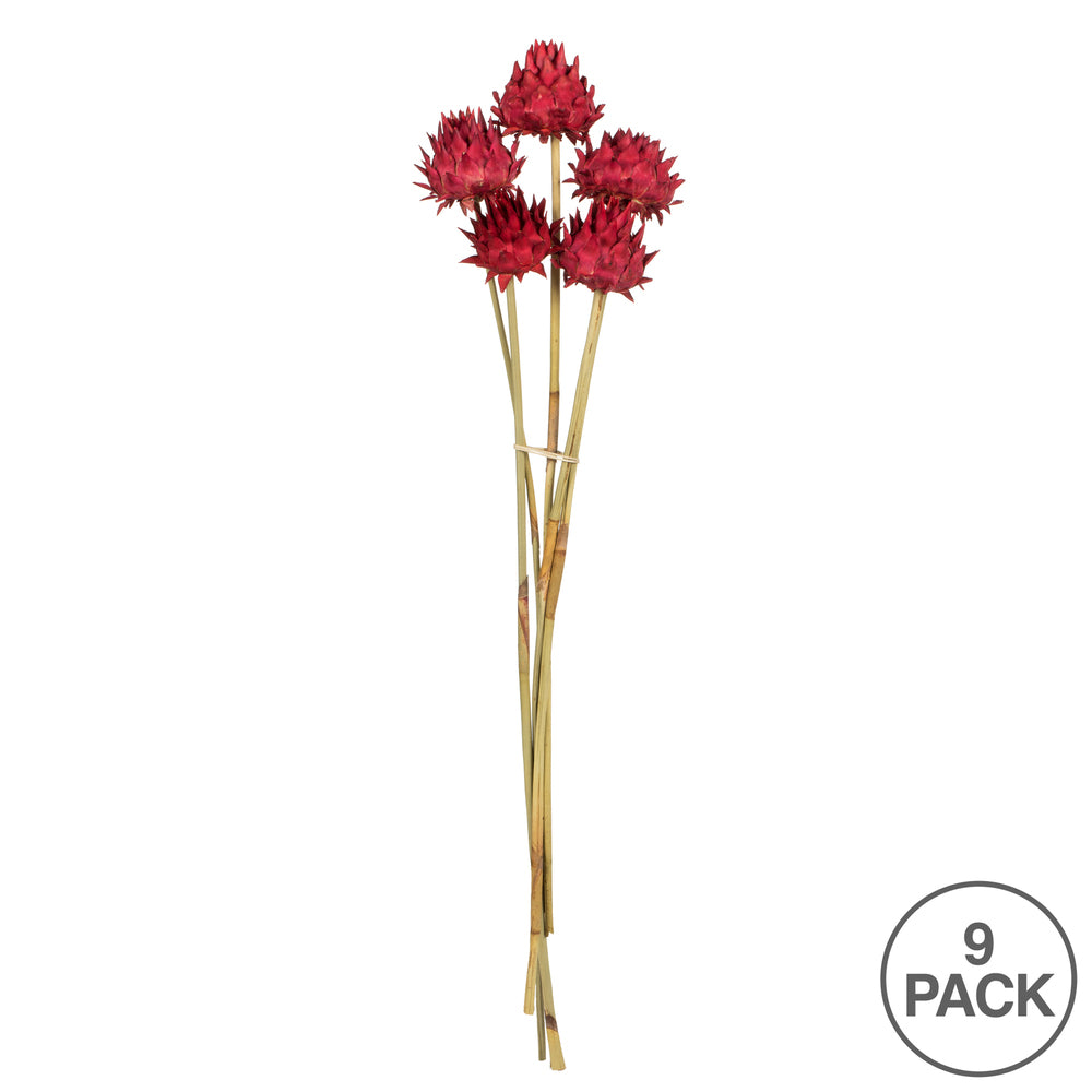 Vickerman 15" Red Artichoke Head attached to a Reed Stem.  Includes 9 Stems per Pack Dried