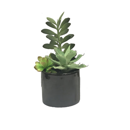 Vickerman 9" Artificial Green Succulents in Cement Pot.
