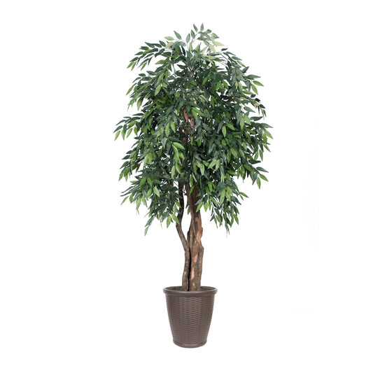 Vickerman 6' Artificial Green Smilax Executive Tree Brown Round Plastic Container.