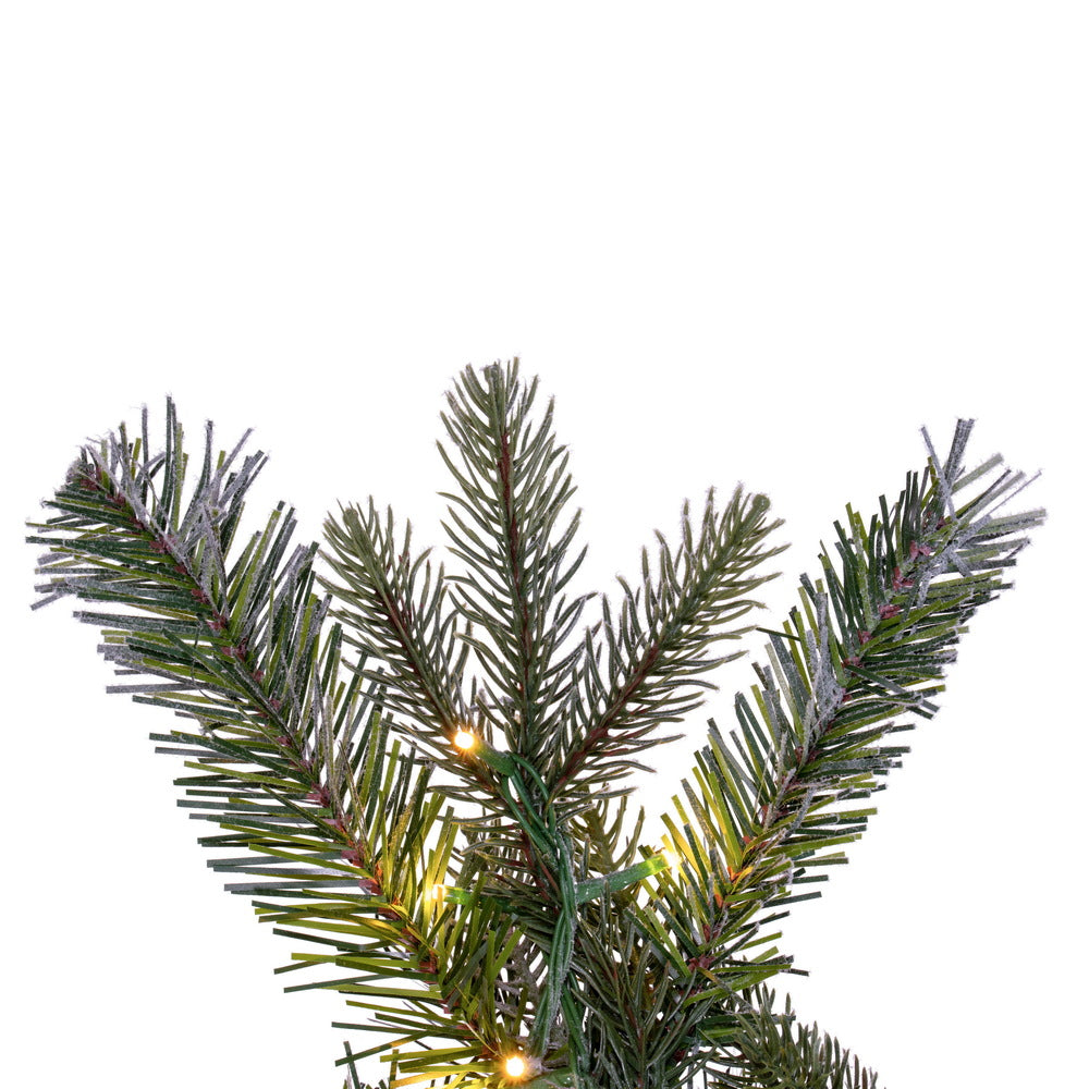 Vickerman 36" Frosted Douglas Fir Artificial Pre-Lit Warm White 3mm Low Voltage LED Wide Angle Lights.