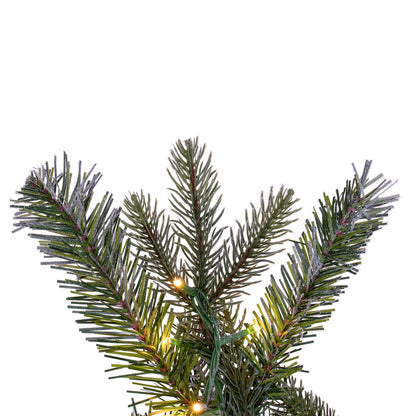 Vickerman 36" Frosted Douglas Fir Artificial Pre-Lit Warm White 3mm Low Voltage LED Wide Angle Lights.