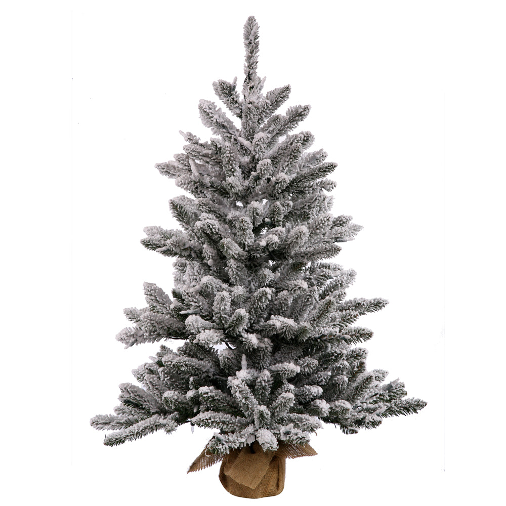 Vickerman 36" Flocked Anoka Pine Artificial Christmas Tree Clear Lights