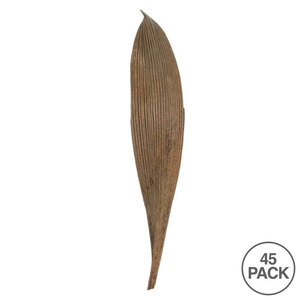 Vickerman 6-12" Natural Palm Paddles Includes 32-37 pieces Dried