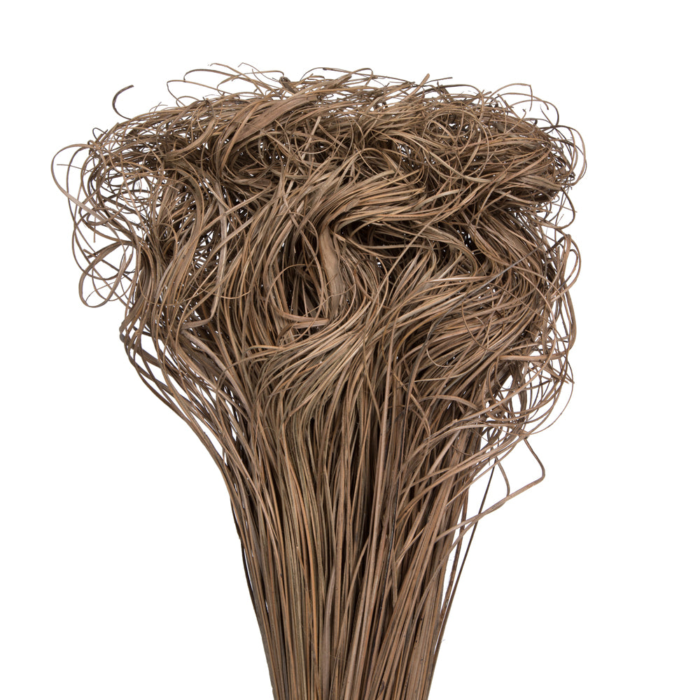 Vickerman Natural Botanicals 24" Curly Ting Ting Natural. 10 bunches per Pack (100 grams open Bunch).