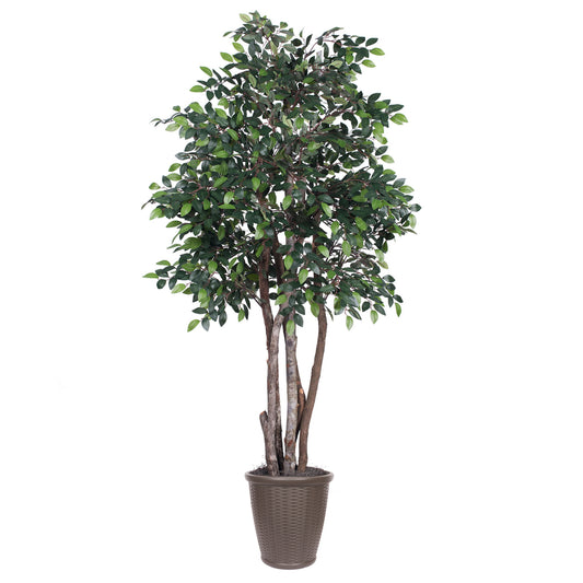 Vickerman 6' Artificial Mini Ficus Executive Tree Brown Round Plastic Container.