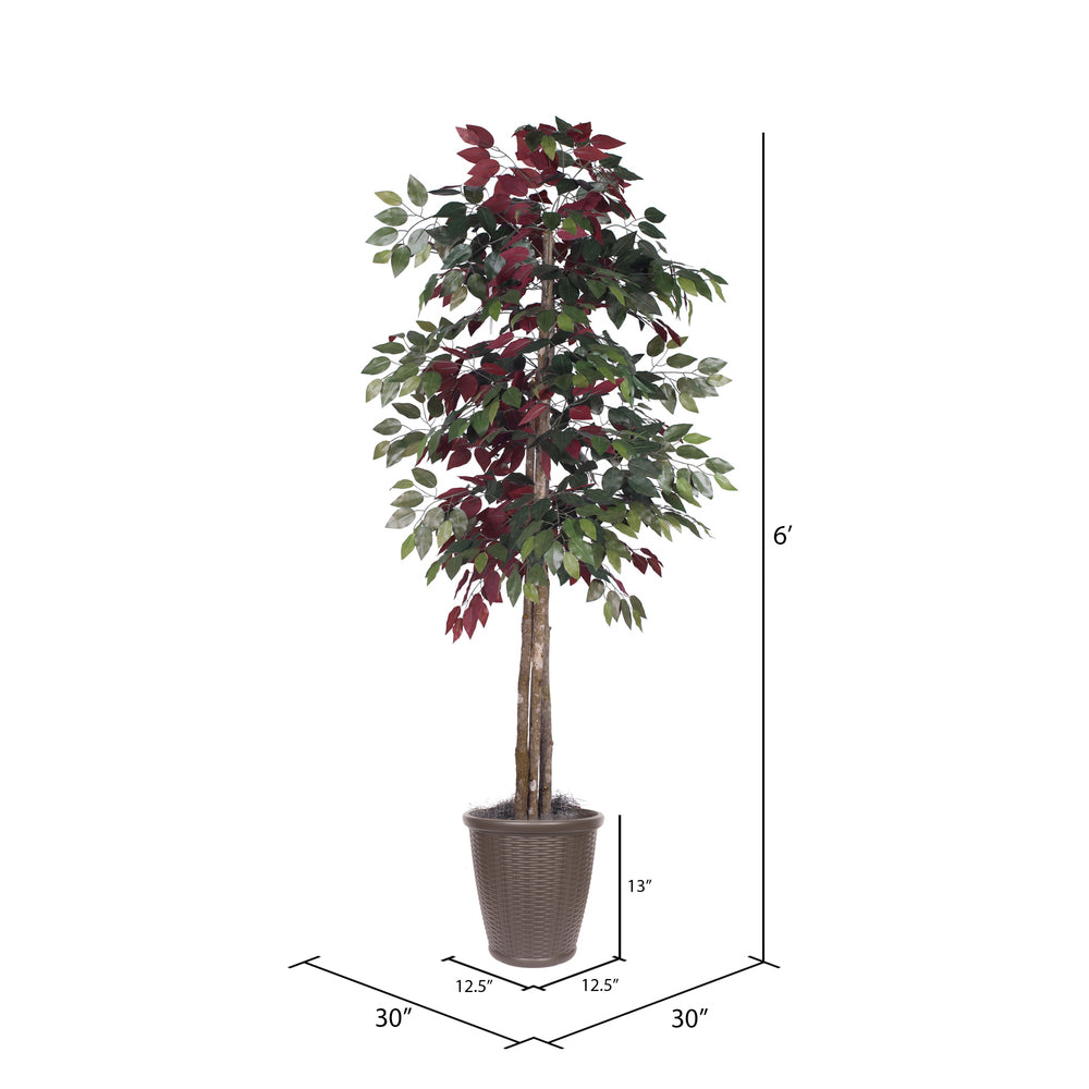 Vickerman 6' Artificial Capensia Deluxe Tree Brown Round Plastic Container.