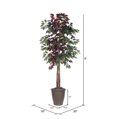 Vickerman 6' Artificial Capensia Deluxe Tree Brown Round Plastic Container.