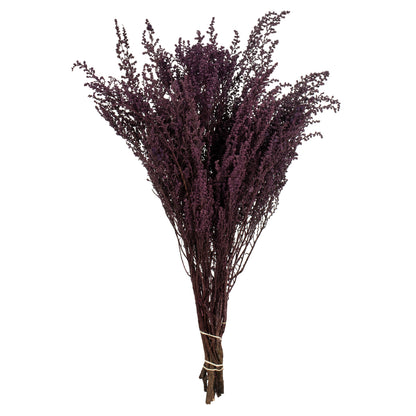 Vickerman 14-18" Violet  Stoebe Bundle