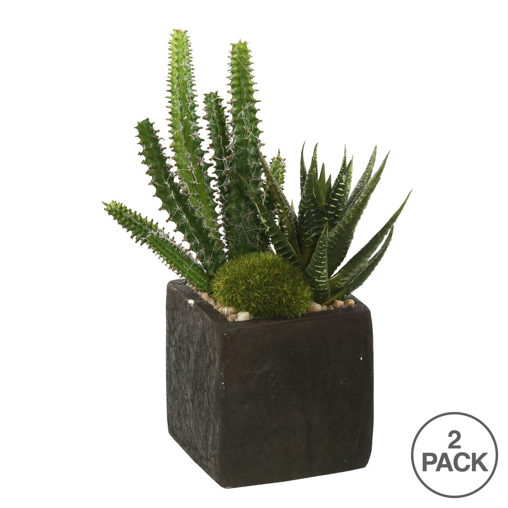 Vickerman 8" Artificial Green Succulent Arrangement Pack of 2