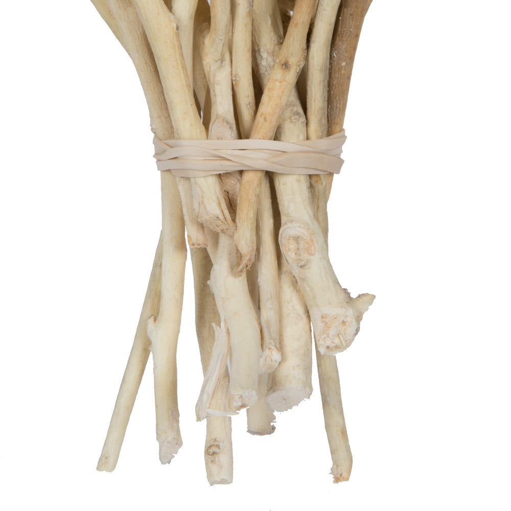 Vickerman Natural Botanicals 11" x 2-4" Conical Gum Branch Bleached 20 stems per unit