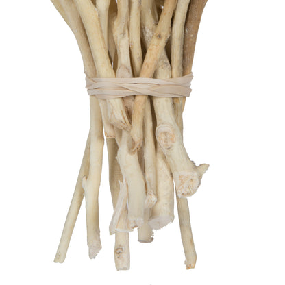 Vickerman Natural Botanicals 11" x 2-4" Conical Gum Branch Bleached 20 stems per unit