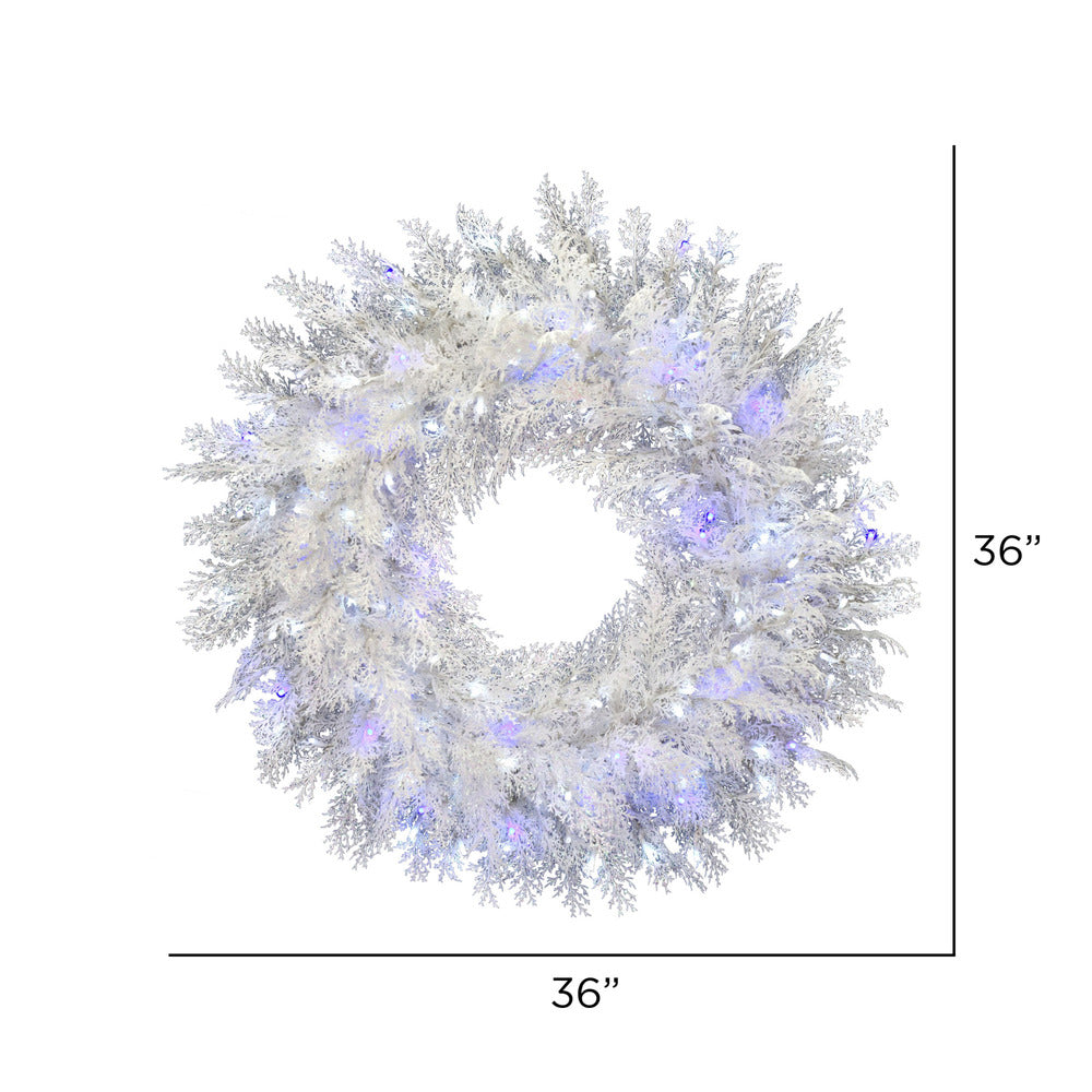Vickerman 36" Flocked Cedar Pine Artificial Christmas Wreath Pure White and Blue Low Voltage LED Wide Angle Twinkle Lights.