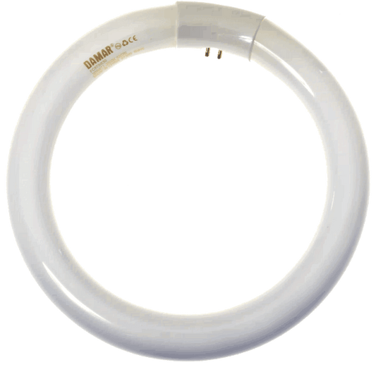 Damar FC9T9 / 830 (FCL30EX-L) G10Q 4-Pin 3000K Warm White Circline Bulb