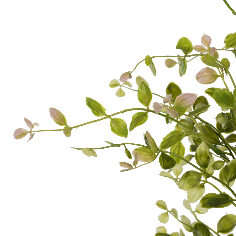 Vickerman 22" Artificial Green Bog Pimpernel Leaf Spray. Includes 2 sprays per pack.