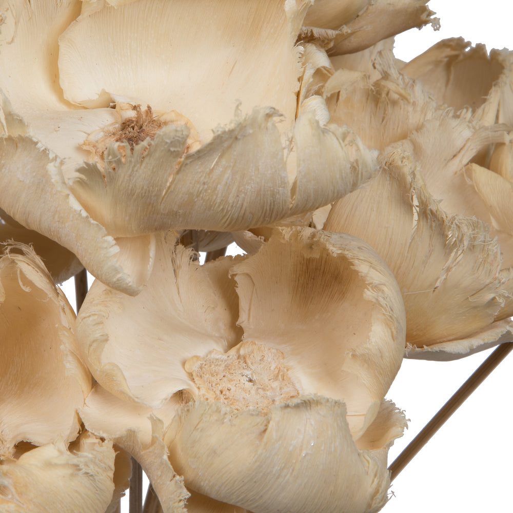 Vickerman Natural Botanicals 2.75" Palm Cap White Wash on Stem. Includes 25 pieces per Pack.