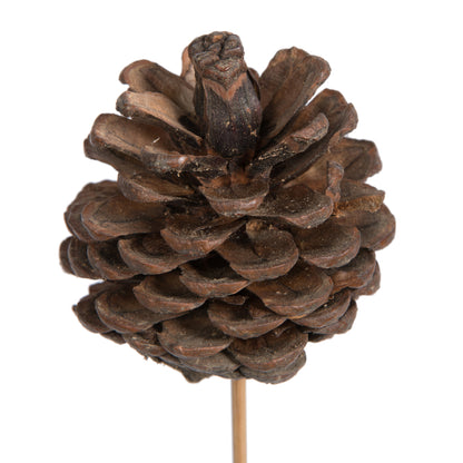 Vickerman Natural Botanicals 2" Blue Pine Natural on Stem. Includes 50 Pieces per Unit