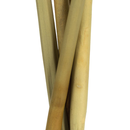 Vickerman 15" Autumn Artichoke Head attached to a Reed Stem Dried