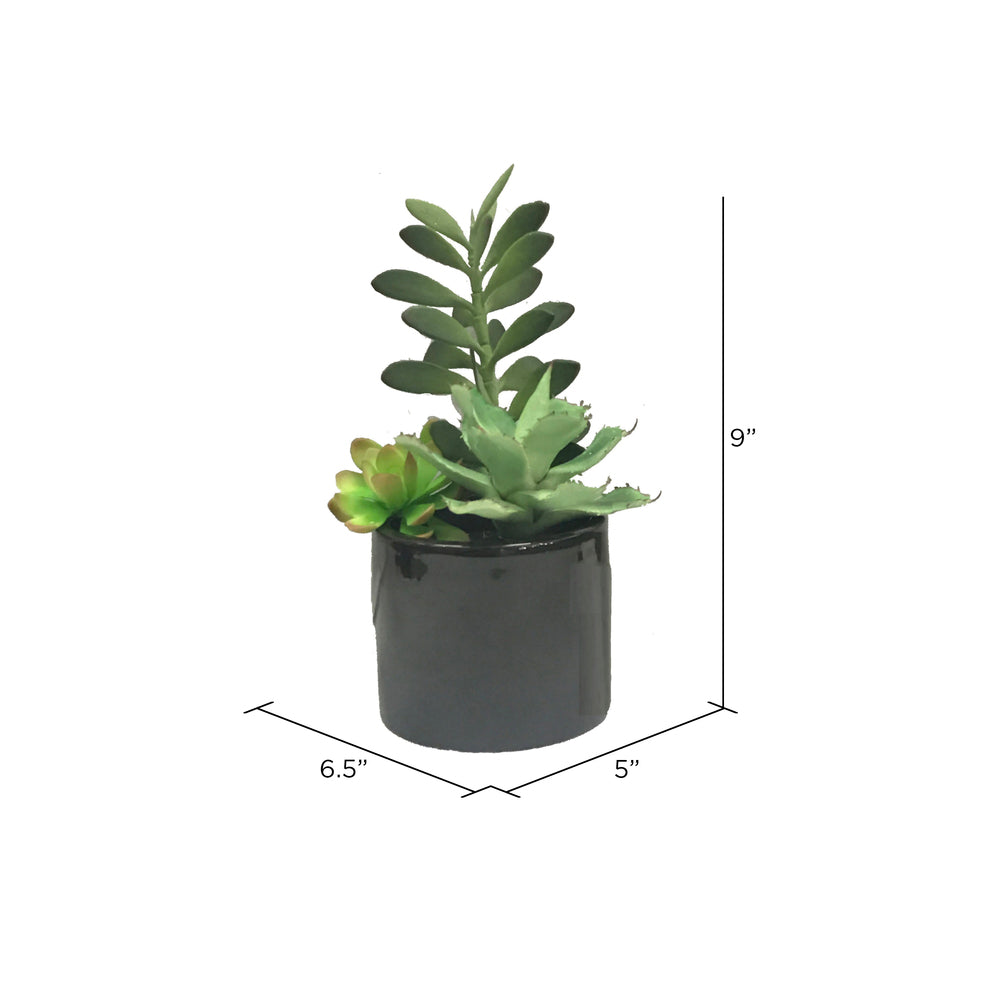 Vickerman 9" Artificial Green Succulents in Cement Pot.