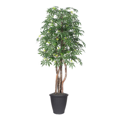 Vickerman 6' Artificial Japanese Maple Executive Tree Gray Round Plastic Container.
