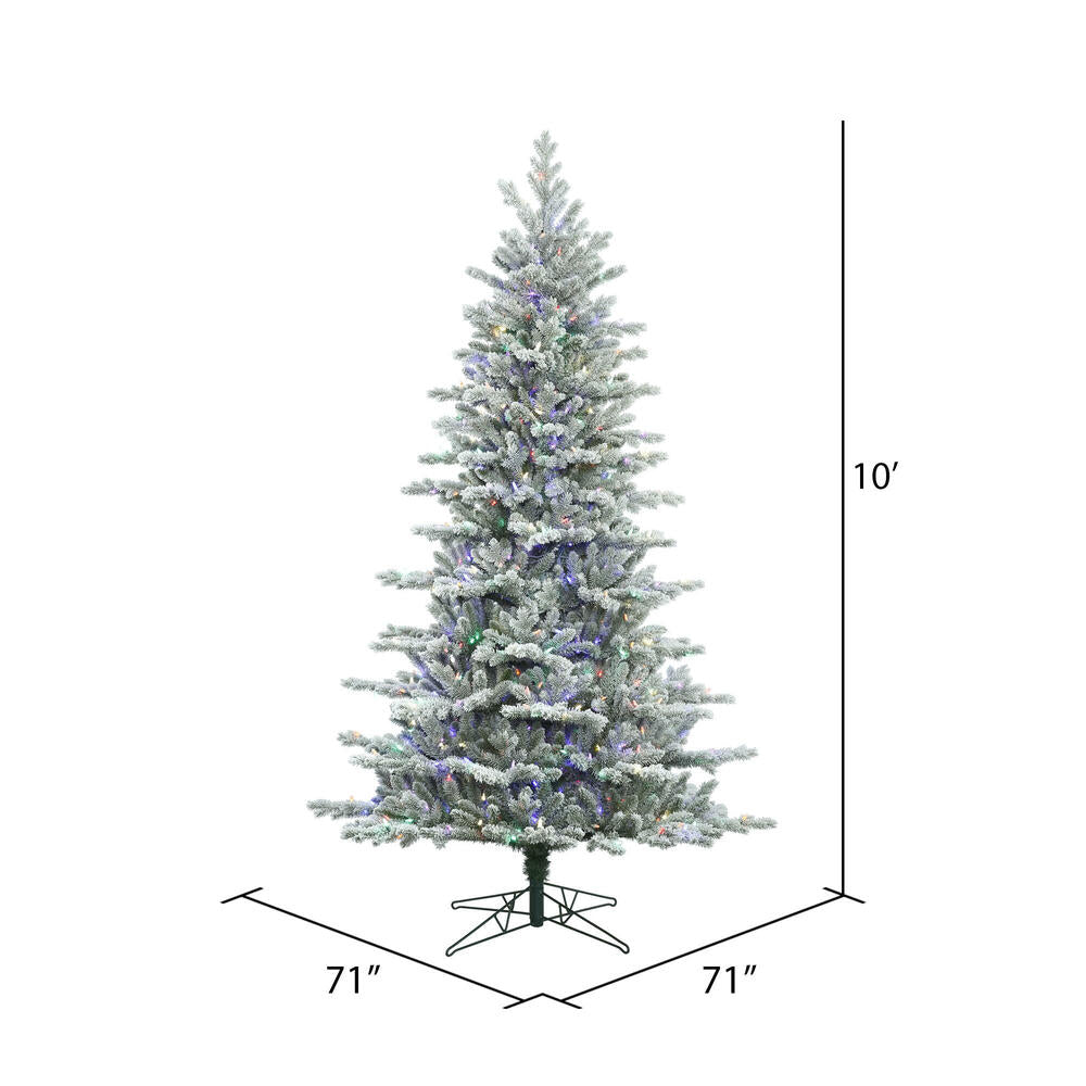 Vickerman 10' Frosted Eastern Fraser Fir Artificial Christmas Tree Multi-colored Dura-Lit LED lights