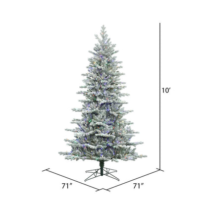 Vickerman 10' Frosted Eastern Fraser Fir Artificial Christmas Tree Multi-colored Dura-Lit LED lights