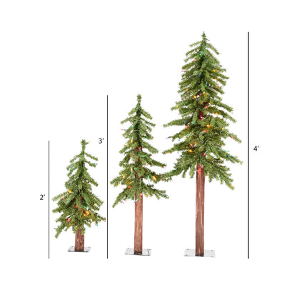 Vickerman 2' 3' 4' Natural Alpine Artificial Christmas Tree Set Multi-colored LED Lights Set of 3