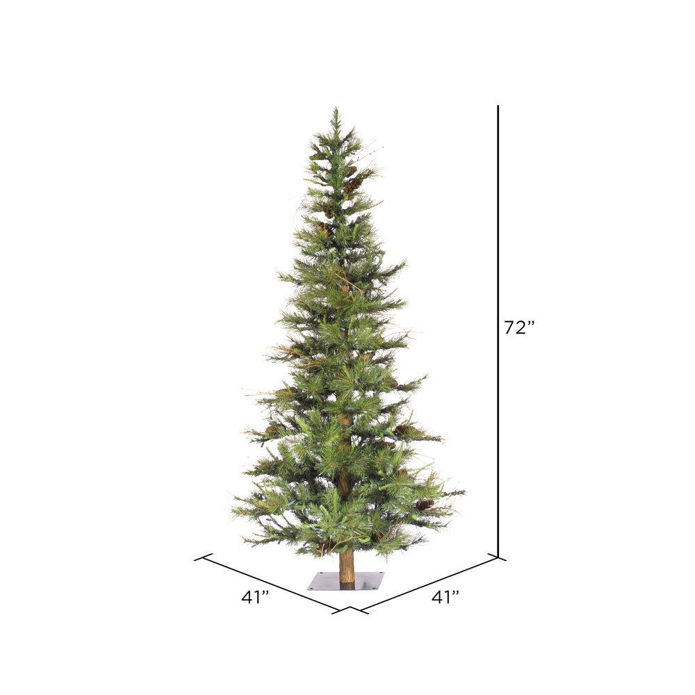 Vickerman 6' Ashland Artificial Christmas Tree Unlit