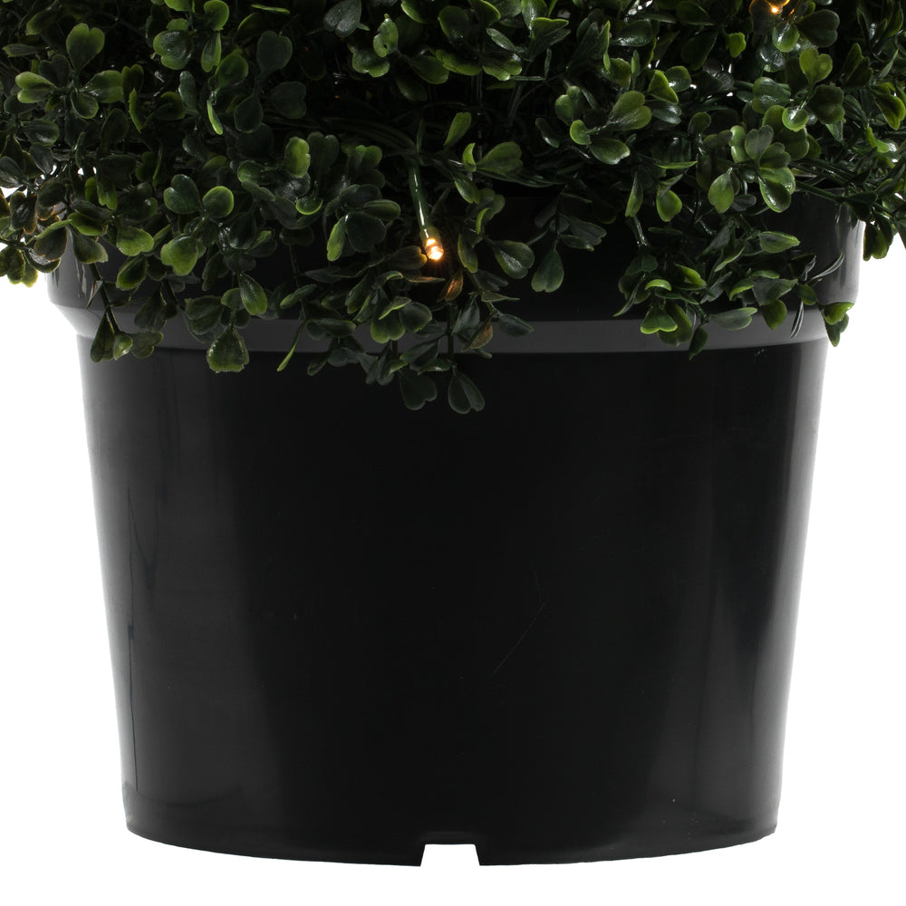 Vickerman 6' Potted Artificial Boxwood Cone with 200 Warm White LED Lghts.