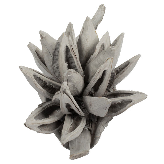 Vickerman 6" Gray Wash Star Pod 1 piece Dried