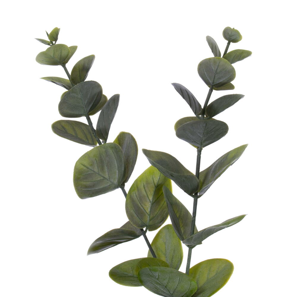 Vickerman 24" Artificial Green Spiral Eucalyptus Wreath