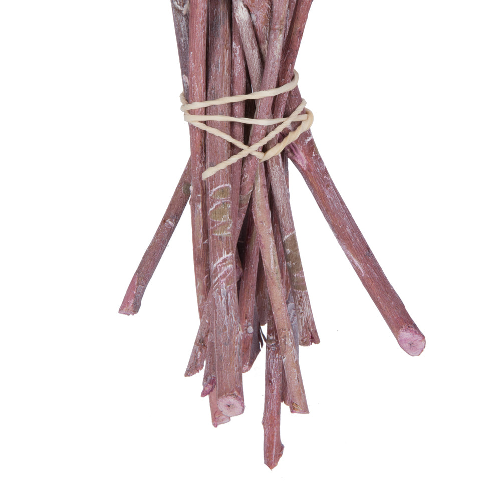 Vickerman Natural Botanicals 13" x 1-3" Red Gum Branch Erika Frosted 14 stems per unit