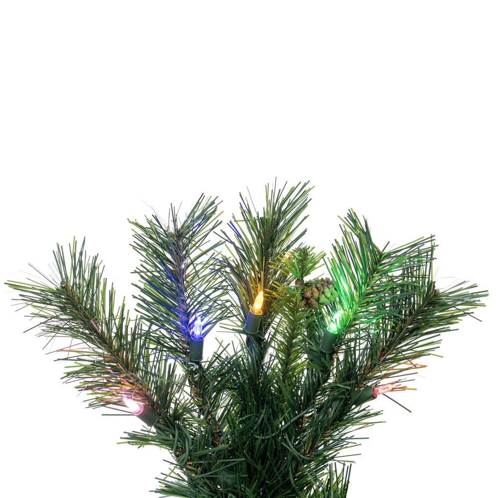 Vickerman 2' Cheyenne Pine Artificial Christmas Tree Multi-colored Dura-Lit® LED Lights