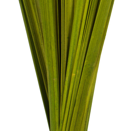 Vickerman 36-40" Basil Sable Grass  7 oz Bundle Dried