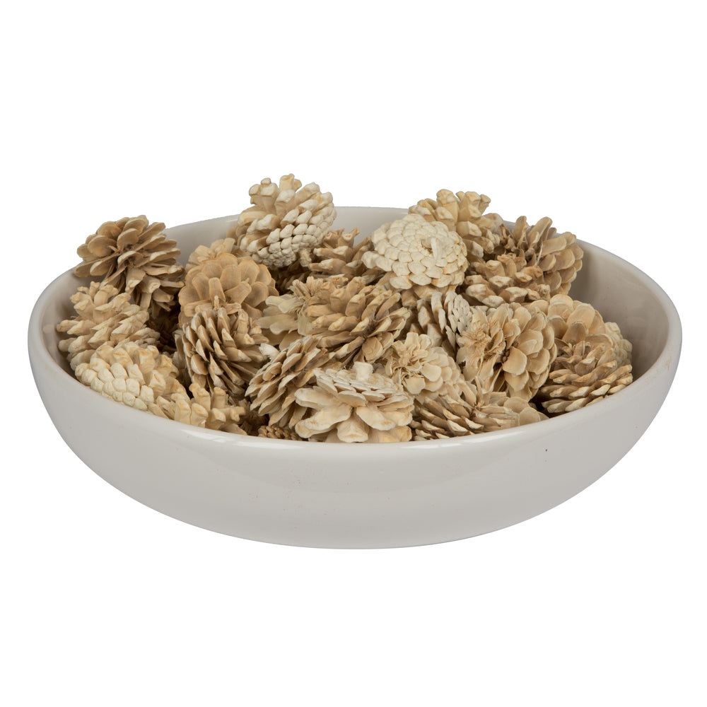Vickerman Natural Botanicals 1.5" Blue Pine Bleached. Includes 50 Pieces per Unit