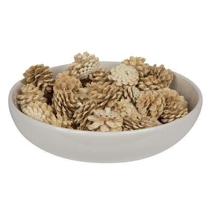 Vickerman Natural Botanicals 1.5" Blue Pine Bleached. Includes 50 Pieces per Unit