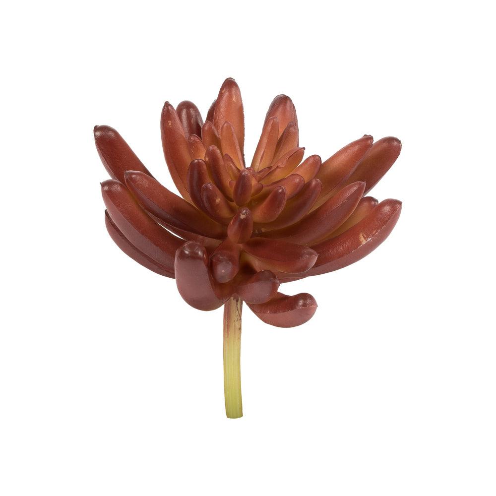 Vickerman 4" Artificial Assorted Succulent Picks Set of 4
