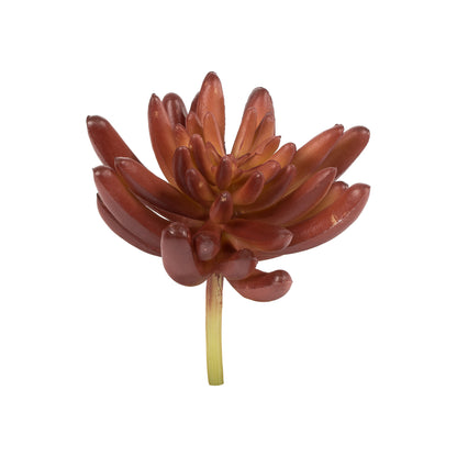 Vickerman 4" Artificial Assorted Succulent Picks Set of 4