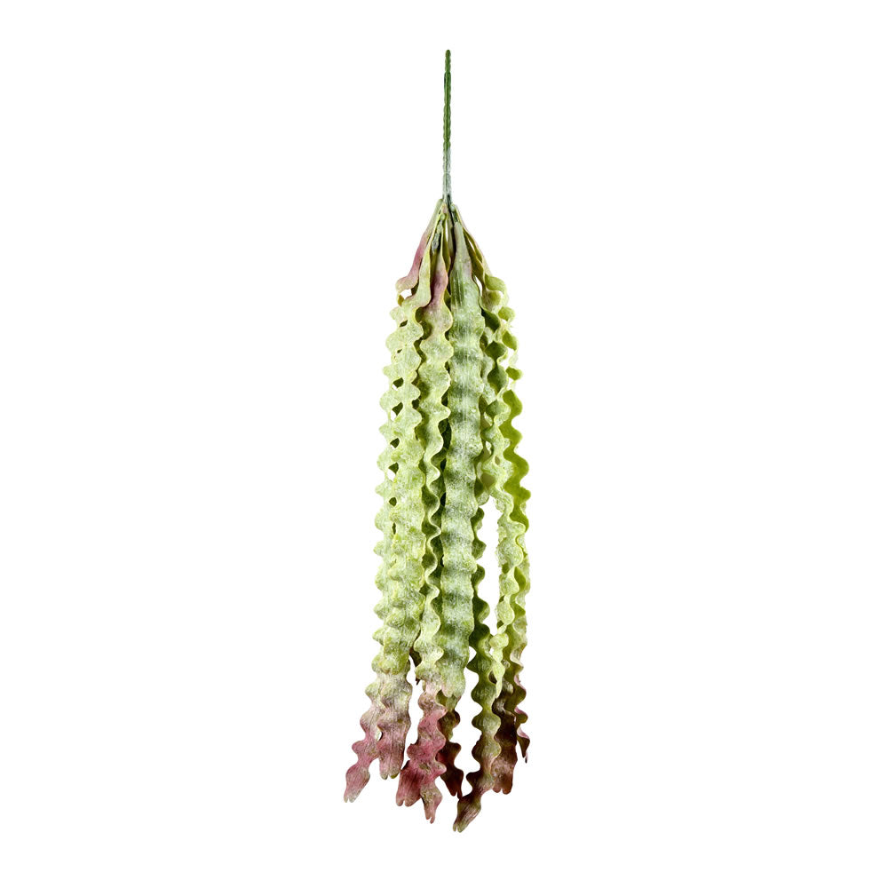 Vickerman 22" Artificial Green Seatangle Plant 2/pk