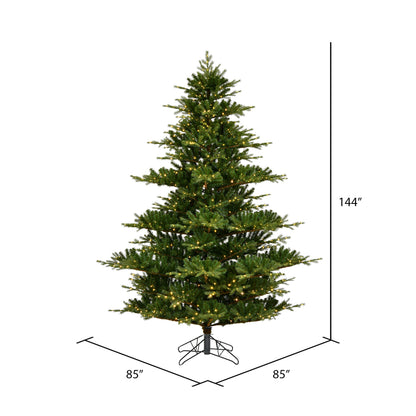 Vickerman 12' x 85" Sherwood Fir Artificial Christmas Tree Warm White LED  Lights