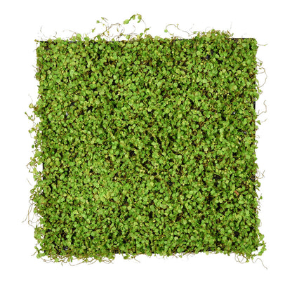 Vickerman 19.5'' Artificial Green Leaves Square Matt.